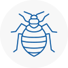 Bed Bug Extermination In Worcester Park
